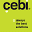 cebi-design.ru