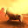 crazy-cattle3d.com