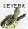 ceyebr.com