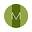m