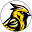 coalregioncanary.com