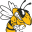 centralyellowjackets.com