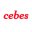 cebes.org.br