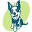 c