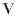 v