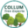 collumtreeexperts.com