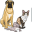c
