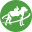companionanimalvet.com.au