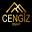 cengizaltyapi.com