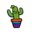 cactuscare.com