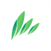 Row Business Solutions