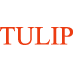 Tulip Telecom